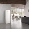 MIELE - Congelatore verticale FN 4372 D WS - 1 Classe D-Bianco