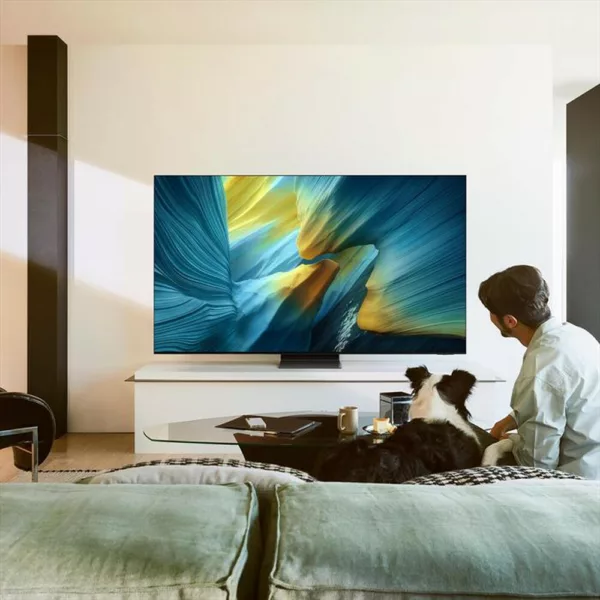 SAMSUNG - Smart TV OLED UHD 4K 55" QE55S95FATXZT-Graphite Black
